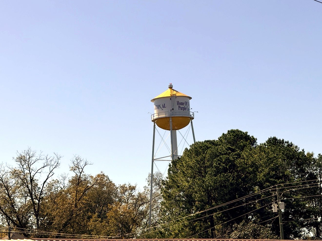Ariton's water tower with its gold roof — “Home Of The Purple Cats” — rising over the pines