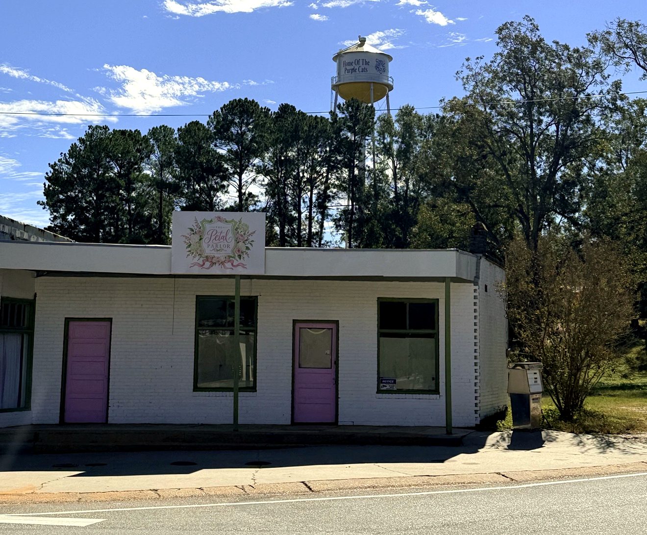 The Petal Parlor storefront in downtown Ariton, its pink doors under the water tower